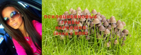 гидропоника Аркадак